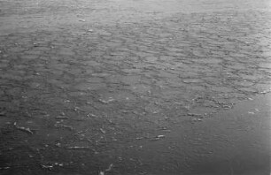 Eisschollen : Eisschollen auf einem Fluss, vermutlich auf der Weißen Elster