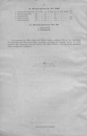 9. Berginspektion Nr. IX.