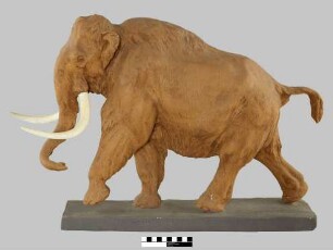 Gipsmodell: Mammut