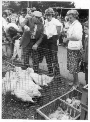 Arolsen. Käufer vor Gänsekäfig