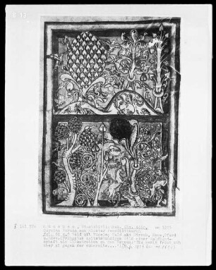 Carmina Burana — Walddarstellungen, Folio 64verso