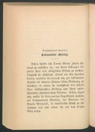 Sechszehntes Kapitel. - Commandant Marinjo.