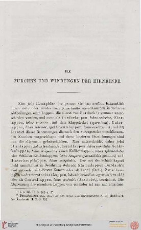 Die Furchen und Windungen der Hirnrinde