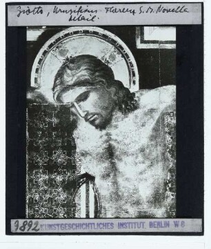 Giotto, Kruzifix von S. Maria Novella : Ausschnitt: Christuskopf