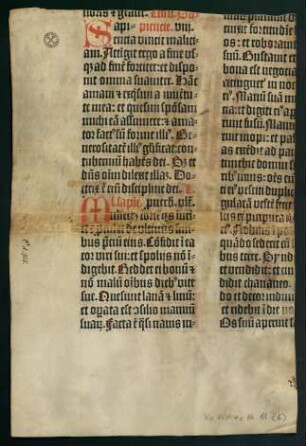 Bl. CCLXVI (Pergament, auf beiden Fragmenten Notizen von Martin Crusius)
