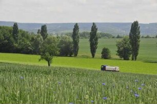 Quedlinburg - Vorharzgebiet : Blick über ein Kornfeld im Vorharzgebiet. Aufgenommen am 14. Juni 2010