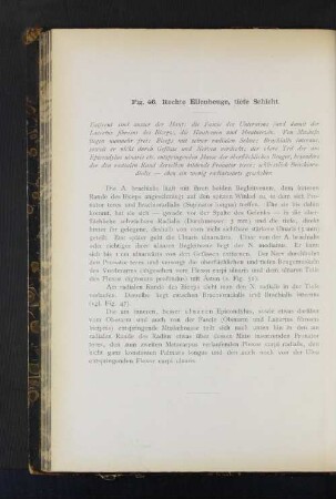 Fig. 46. Rechte Ellenbeuge, tiefe Schicht.