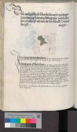 Hans von Wachenheim