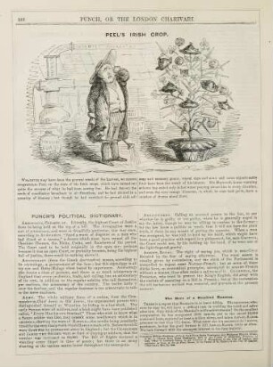 Peel's Irish crop
