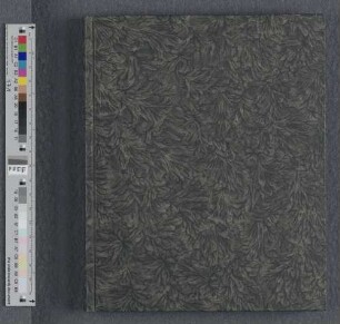 [Collegium biblicum in Evangelistas] : Cod. theol. 1351