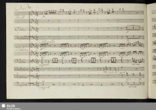 No:14 [Duett:] Wer bist du sprich