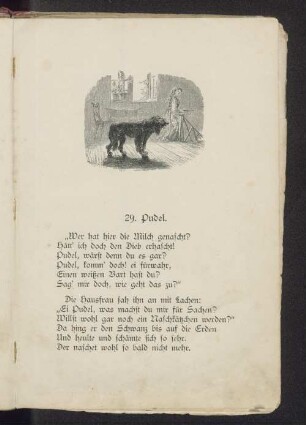 29. Pudel.