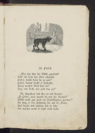 29. Pudel.