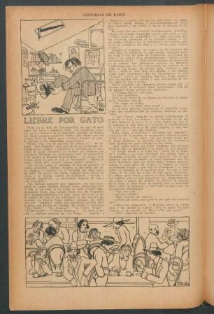 Liebre por gato : Historias de París