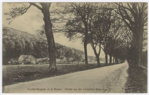 Veckerhagen
