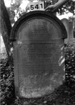 Grabstein 541 (Index: 99802746) Material: Sandstein Zustand: unten völlig abgeblättert/Textverlust Maße HxBxT: 103x59x11 cm Beschreibung: Stele mit verdachtem Rundbogen, profilierter Rand, Giebelfeld Besonderheit: längerer Text, Endreim: Grabstein 541