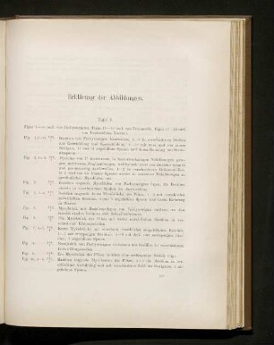 Erklärung der Abbildungen