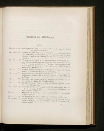 Erklärung der Abbildungen