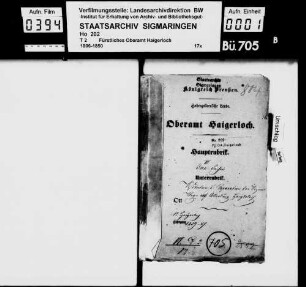 Visitation und Reparation der Vizinalwege auf Markung Haigerloch
