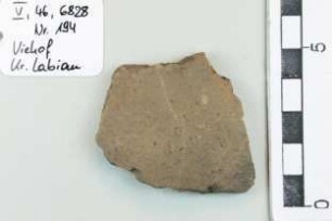 Gefäßfragment