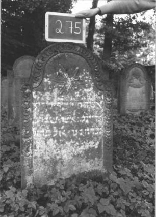 Grabstein 275 (Index: 99894623) Material: Sandstein Zustand: stark bewachsen Maße HxBxT: 96x58x11 cm Beschreibung: Stele mit eingezogenem Rundbogenabschluss Symbolik: Blüte, Schuppenmuster: Grabstein 275