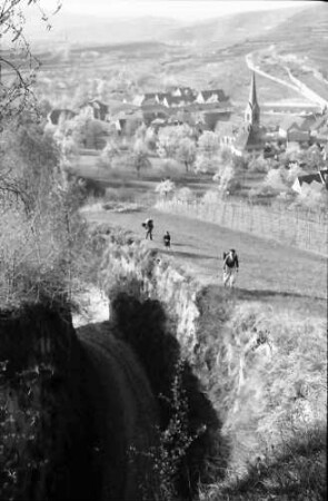 Bickensohl: Schneise und Ort