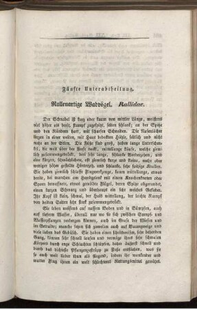 Fünfte Unterabtheilung. Rallenartige Wadvögel. Rallidae.