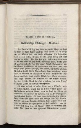 Fünfte Unterabtheilung. Rallenartige Wadvögel. Rallidae.