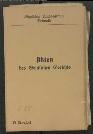 Margarete (Grete) Stecker (Stecher), Tochter des Bartholdt Stecker in Vinsebeck gegen Zimmermeister Hermann Möller (Möllen, Müller, Mühlenherman, Mollern) in Schönemark, wegen einer Eheklage