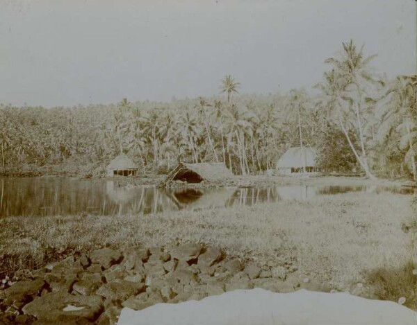 "Freshwater lagoon near Safune, Ins. Savaii."