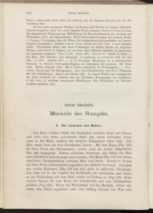 Achter Abschnitt. Muskeln des Rumpfes.