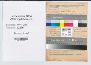 Entnazifizierung Josef Scholz, geb. 20.02.1901 (Hilfsarbeiter)