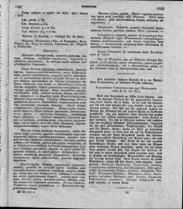 Enumeratio coleopterorum agri Monacensis / Joan. Gistl . - München, 1829