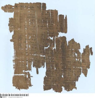 Demotischer Papyrus, Liste