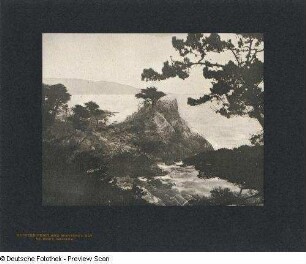 Foto, Del Monte
