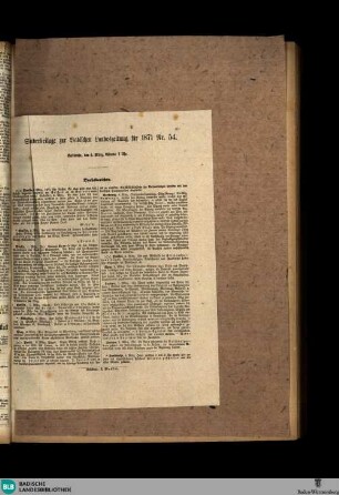 Badische Landes-Zeitung, Sonderbeilage