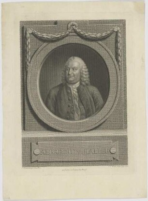Bildnis des Albrecht v. Haller