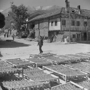 Alltagsbild. Gestelle für das Trocknen der Tabakblätter am Wohnhaus und auf freien Plätzen in Bansko