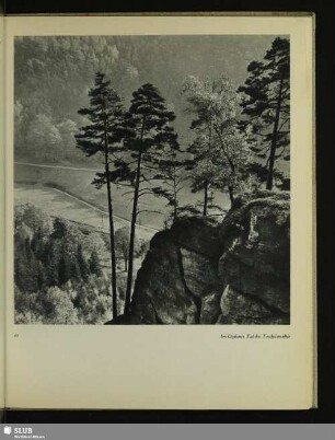 Im Oybiner Tal bei Teufelsmühle