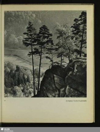 Im Oybiner Tal bei Teufelsmühle
