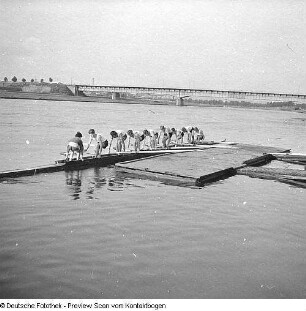 Rudern, SC Einheit (1958); Regatta Niedersedlitz (1961)