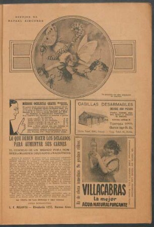 La pasadilla del niño empalador de insectos - [Dibujo] : Dibujos de Rafael Kirchner