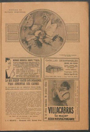 La pasadilla del niño empalador de insectos - [Dibujo] : Dibujos de Rafael Kirchner