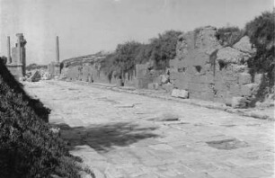 Ruinen von Leptis Magna : Blick auf eine altrömische Straße mit Ruinen