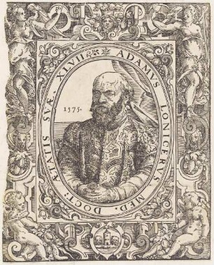 Bildnis des Adam Lonicer