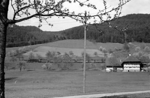 Gutach: Schwarzwaldhaus an der Schwarzwaldbahn bei Gutach, Hintergrund Zug