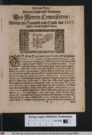 Ein kurtzer Bericht/ Von dem Lauff unnd Bewegung Des Newen Cometsterns/ Welcher im Septemb. und Octob. des 1607. Jahres/ uberall ist gesehen worden