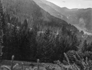 Wald : Blick über bewaldete Berghänge