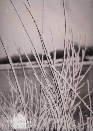 Winterliche Landschaft mit Rauhreif an Zweigen