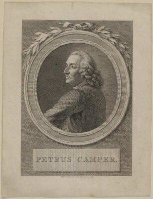 Bildnis des Petrus Camper